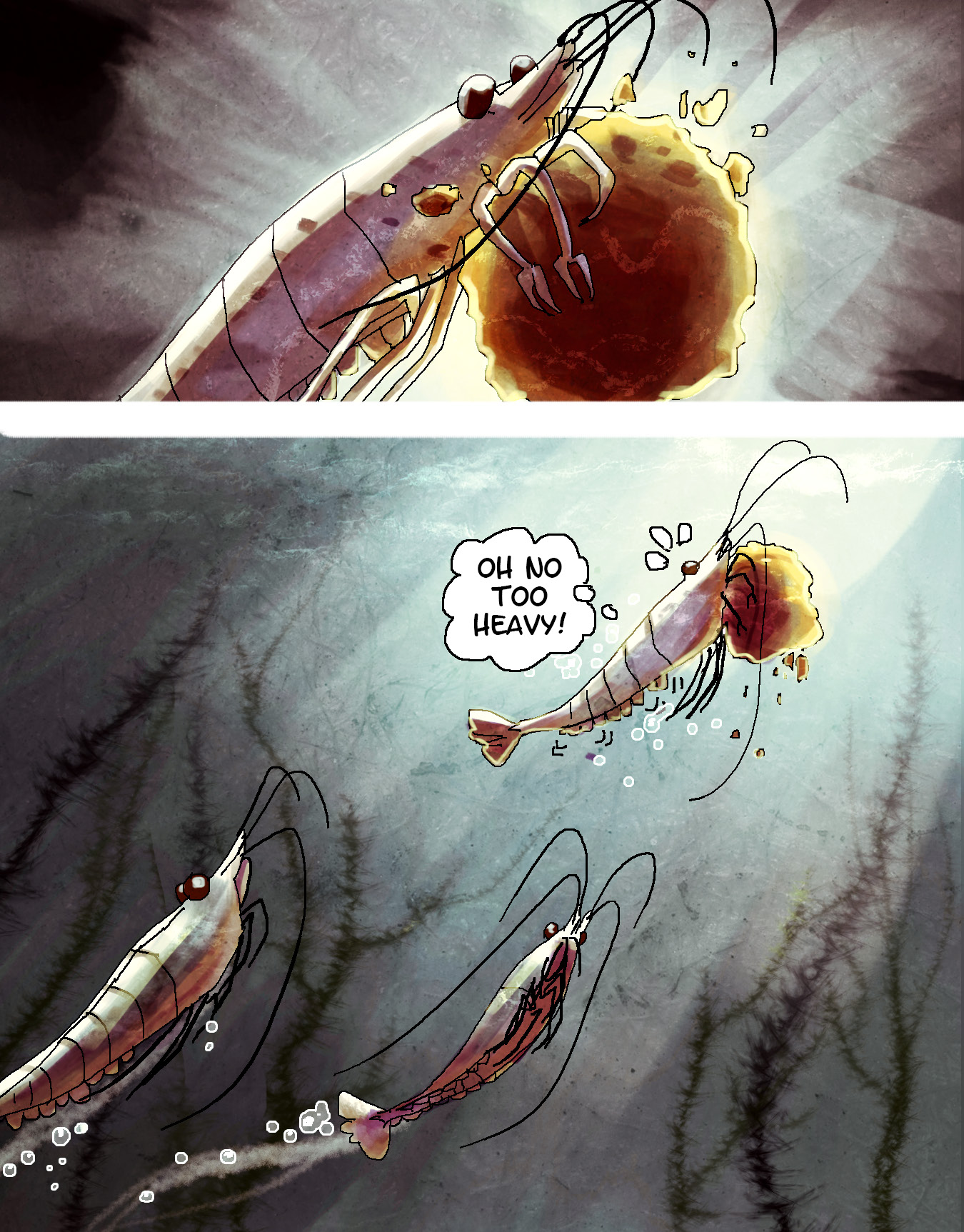 Life as a Krill